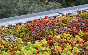 the cost of Stadhlaigearraidh green roof installation