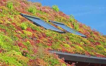 Stadhlaigearraidh living roof systems