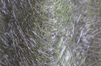 Stadhlaigearraidh fibreglass roof work